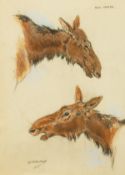 Raymond John Vandenbergh (1889-1960's) British, 'Cow Moose', pastel on paper, signed and