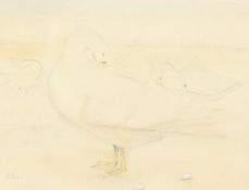 K. Mackie (20th Century), A study of white ducks preening their feathers, watercolour, 10