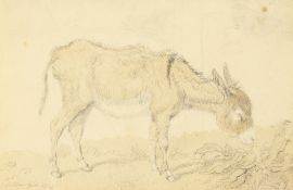 A study of a donkey grazing, watercolour and pencil, unframed, 3.5