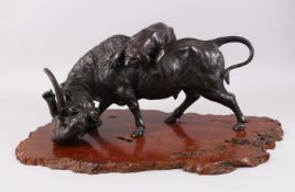 A LARGE AND HEAVY JAPANESE MEIJI PERIOD BRONZE OXEN & TIGER GROUP, the artist has captured in