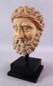 A LARGE GHANDARA MODEL STONE HEAD IN THE GREEK STYLE, the head in the greek style, on a wooden base,