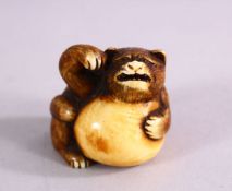 A JAPANESE MEIJI PERIOD CARVED IVORY NETSUKE OF TANUKI & BALL - the tanuki with its paws upon a