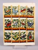 A SET OF 19TH CENTURY INDIAN SCHOOL PAINTINGS OF BUTTERFLIES ON MICA, adhered to a panel, each