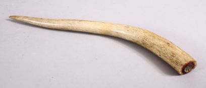 A GOOD ISLAMIC CARVED ANTLER HORN / BONE, 26.5cm