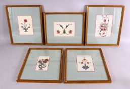 A FINE SET OF FIVE 19TH CENTURY FRAMED INDIAN SCHOOL FLORAL ARCHITECTURAL PAINTINGS. PROBABLY