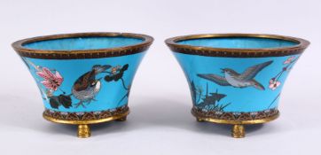 A PAIR OF JAPANESE MEIJI PERIOD CLOISONNE JARDINIERE'S, each with turquoise enamel ground with