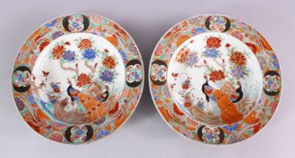 A PAIR OF 19TH CENTURY CHINESE FAMILLE ROSE PEACOCK PORCELAIN DISHES, each decorated with with two
