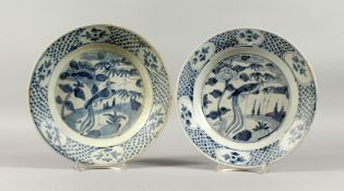 TWO CHINESE WANLI PERIOD BLUE AND WHITE PEACOCK PATTERN SHIPWRECK PLATES. 10ins diameter.