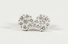 A VERY GOOD PAIR OF 18CT WHHITE GOLD DIAMOND CLUSTER EAR STUDS.