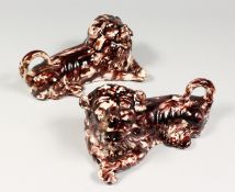 A PAIR OF 19TH CENTURY TREACLE GLAZED POTTERY RECUMBENT LIONS. 8.5ins long.