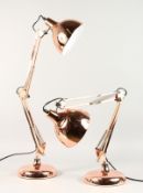 A PAIR OF COPPER ANGLEPOISE LAMPS.