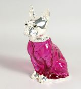 A SILVER PLATED CRANBERRY GLASS CLARET JUG in the form of a French bulldog. 7.5ins high.