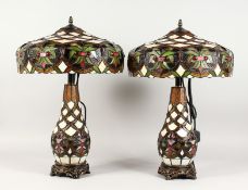 A GOOD PAIR OF DRAGONFLY LAMPS on lit bases in the Tiffany style.