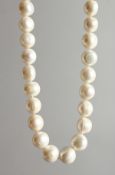 A LARGE STRING OF PEARLS with 18ct gold clasp.