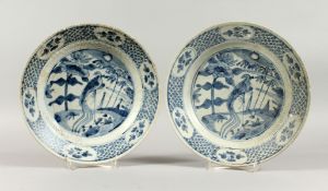 TWO CHINESE WANLI PERIOD BLUE AND WHITE PEACOCK PATTERN SHIPWRECK PLATES. 10ins diameter.
