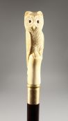 A CARVED BONE HANDLED WALKING STICK, OWL.