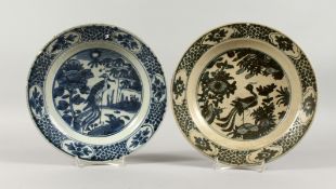 TWO CHINESE WANLI PERIOD BLUE AND WHITE PEACOCK PATTERN SHIPWRECK PLATES. 10ins diameter.