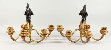 A GOOD PAIR OF LATE 19TH CENTURY GILT AND PATINATED BRONZE WALL LIGHTS, with ornate back-plates,