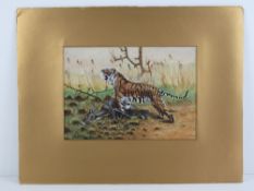 Stuart Suidgen, early 20th century; a pair of wildlife gouaches being a leopard at a water hole,