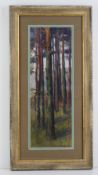 Gordon L Grimwade, 20th century watercolour, tall Spruce pine trees in the Pre-Raphalite manner.