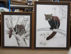A pair of c1970s paintings entitled 'Red Panda II' 120 x 89cm and 'Sleepy Red Panda' 90 x 73cm,