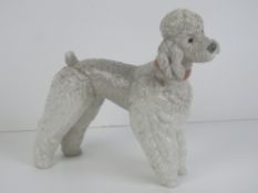 A Lladro standing standard poodle, 15cm high.