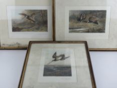 After Archibald Thorburn (1860-1935) a set of three hand coloured chromolithographs;