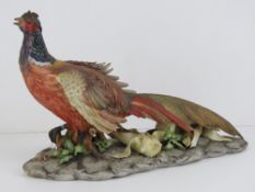 Capodimonte: a signed limited edition (895/1000) hand painted cock pheasant eating maize, 16