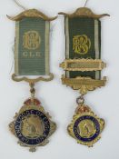 The Royal Antediluvian Order of Buffaloe