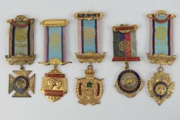 The Royal Antediluvian Order of Buffaloe