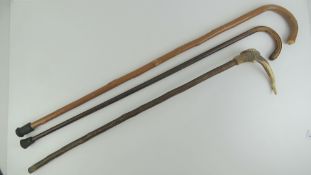 Three walking sticks, one having antler handle.