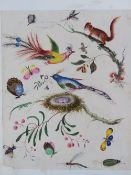 A collection of assorted watercolours, coloured steel engravings, decoupage, sketches, etc.