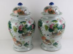 A pair of Chinese oversize ginger jars with lids,