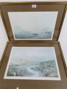 Two limited edition prints being 137/250 'The Apparition' and 'Restless Old Beast',