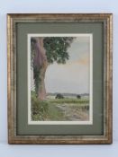 Watercolour; a delightful country lane s