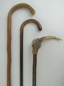 Three walking sticks, one having antler