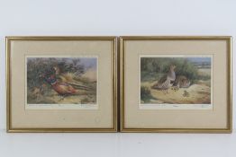 A pair of limited edition Game Bird prints by Richard Robjent,