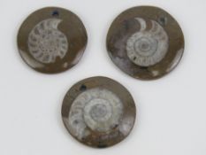 Three ammonite fossil pendants, each 3-3.5cm dia.