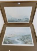 Two limited edition prints being 137/250 'The Apparition' and 'Restless Old Beast',