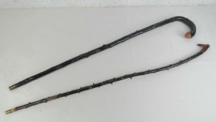 A crook top walking stick together with a Blackthorne walking stick.