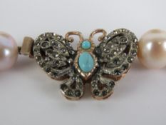 A string of peach coloured pearls having silver butterfly clasp set with turquoise and white stones,