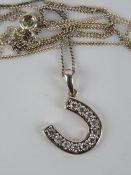 A silver horseshoe pendant set with white stones with fine silver chain.