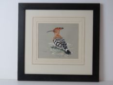 Watercolour; study of a bird entitled Hoopoe by Ashley R Bow, 17 x 19cm.