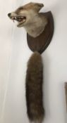 A fine taxidermy fox mask and brush. Shi