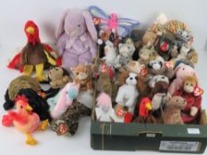 A large quantity of Ty Beanie Babies all with tags; 'India', 'Prickles', 'Chip', 'Luke', 'Prance',