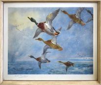 Archibald Thorburn (1860-1935), 