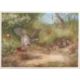 Archibald Thorburn (1860-1935), Bird studies, set of four coloured artists proofs, all signed in - Image 2 of 3