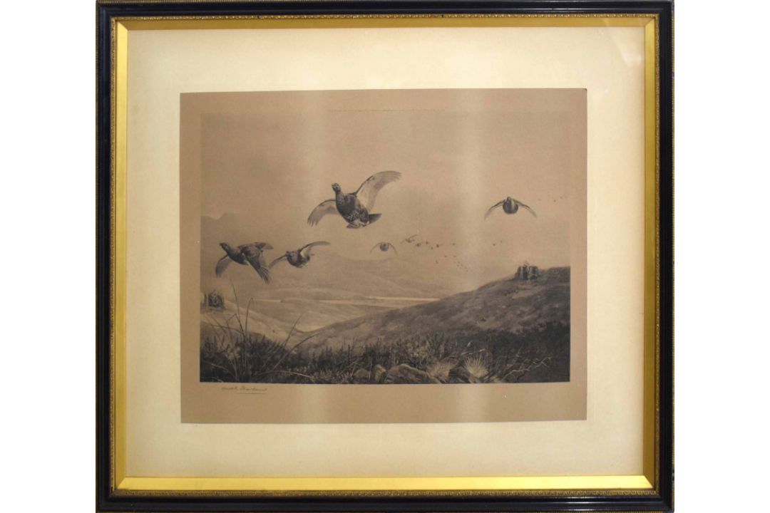 Archibald Thorburn (1860-1935), Grouse in Flight, black and white engraving, published 1892 by