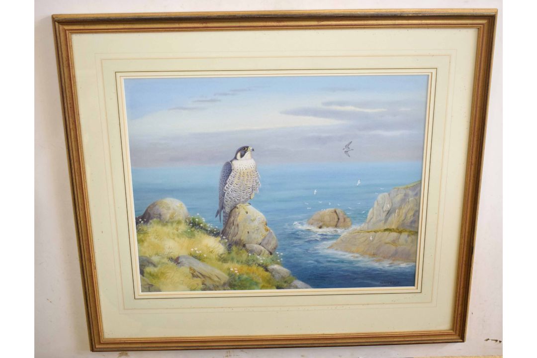 •AR Richard Robjent (Born 1937), Peregrine Falcon in Coastal Landscape, watercolour, signed lower