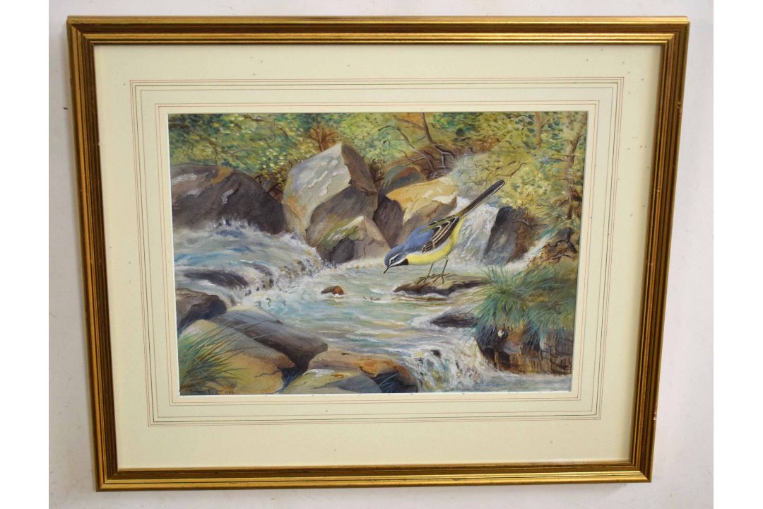 •AR Richard Robjent (Born 1937), Grey Wagtail in River Landscape, watercolour, signed and dated 1980